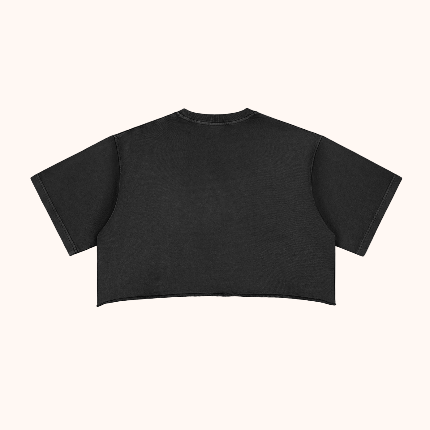 The One Girl All the Rockstar Adore! - Snow Washed 80s Crop Tee
